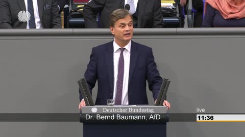 Dr. Bernd Baumann Rede vom 24.10.2017 - Beschlussfassung über dieGeschäftsordnung