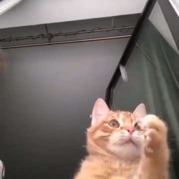 To catch a falling snowflake 😍