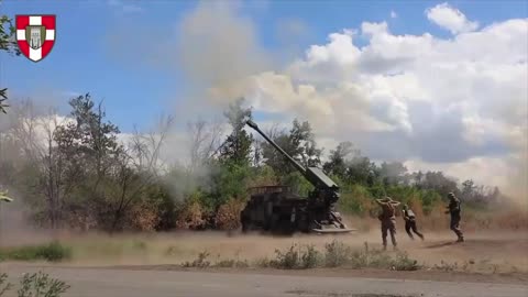 New Footage from Ukrainian Artillery Group