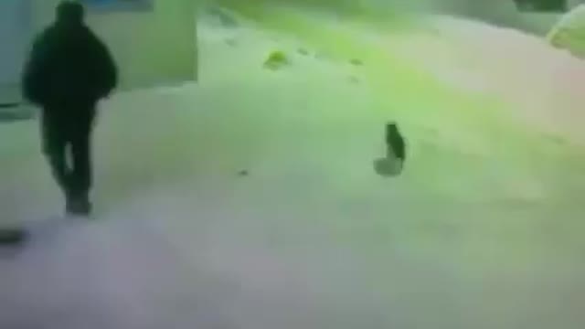 super cat