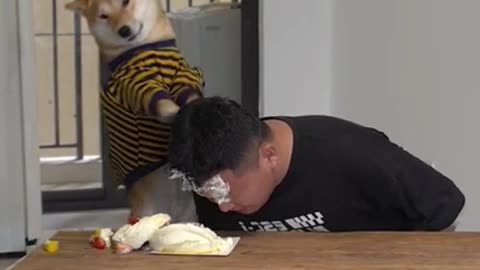 Funny Dog