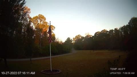 Daily tree and brush trimmers show up