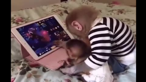 Funniest Monkey - cute and funny monkey videos