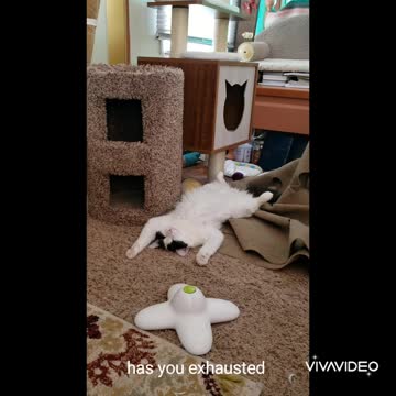 Exhausting Butterfly