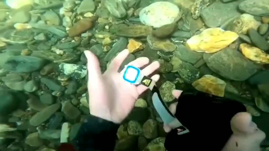 The sea cucumber is everywhere, screw on the bottom of the lazy.