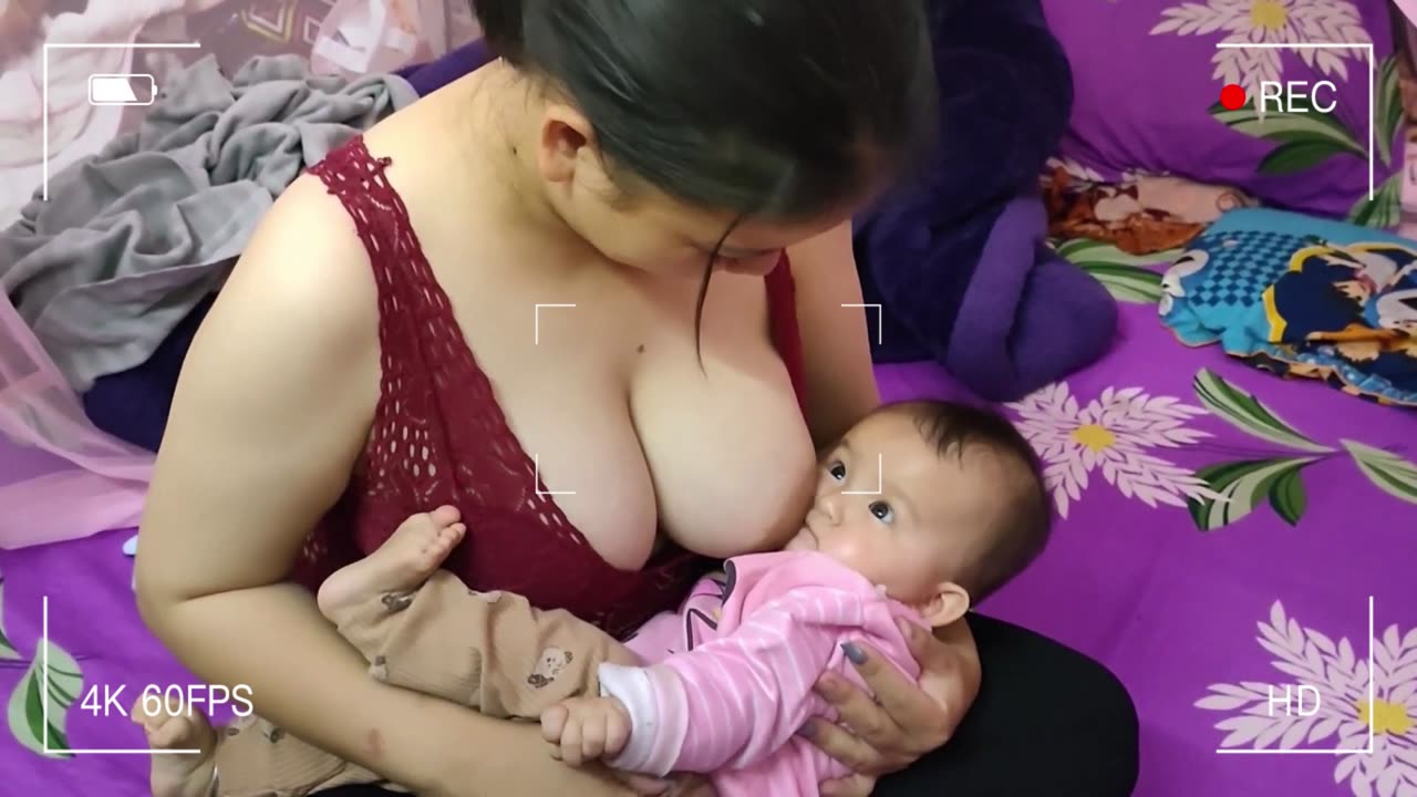 Breastfeeding Education Breastfeeding 2024