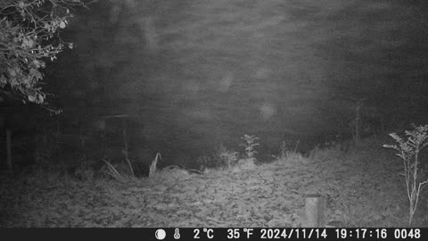 Teich 141124