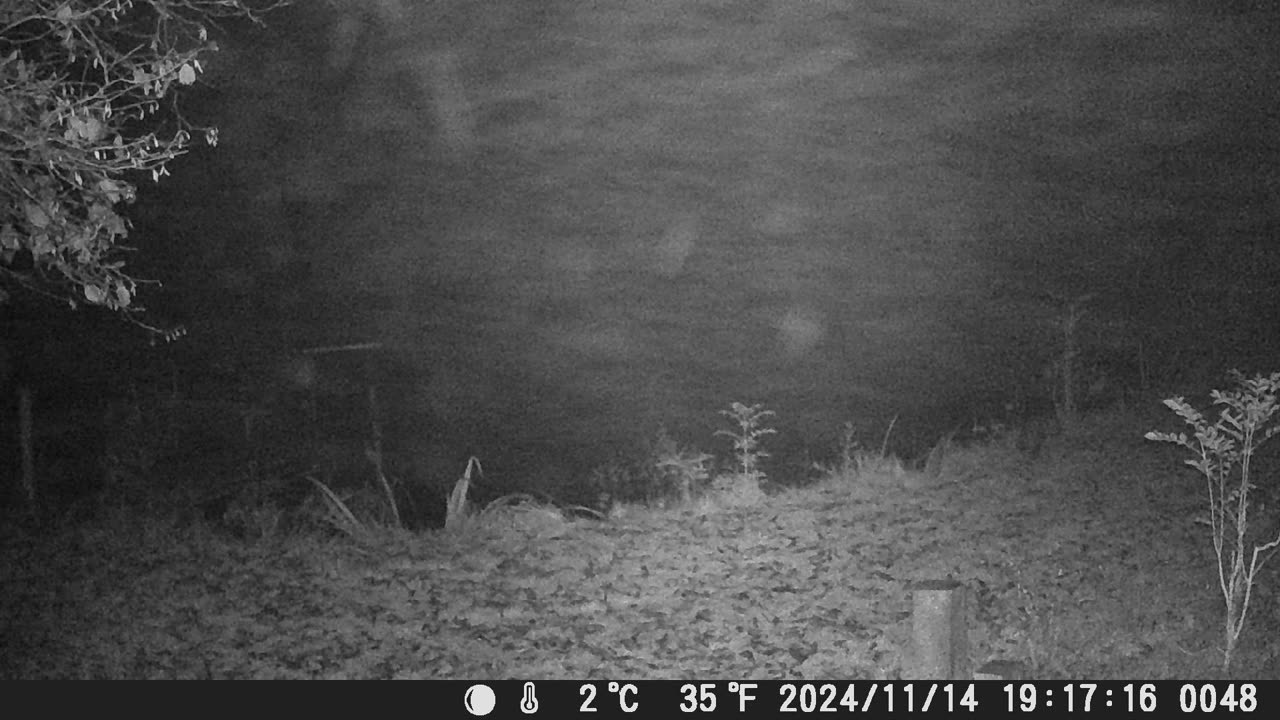 Teich 141124