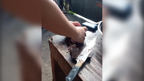 Cutting fish like a meat