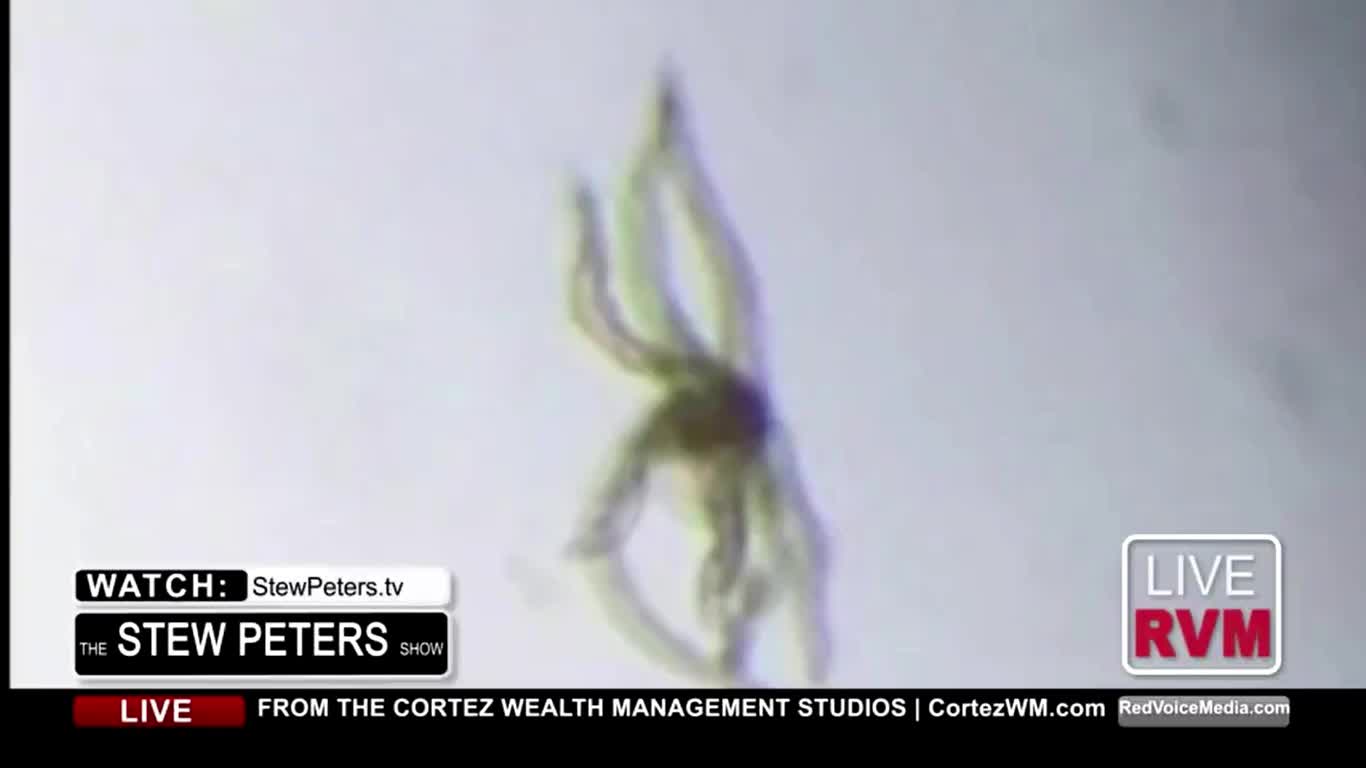 DR. CARRIE MADEJ:LAB EXAMINES "VACCINE" VIALS, HORRIFIC FINDINGS REVEALED