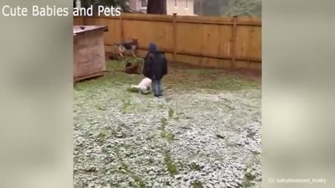 Try Not To Laugh: Funny Dog Compilation Videos 🐶🐶🐶