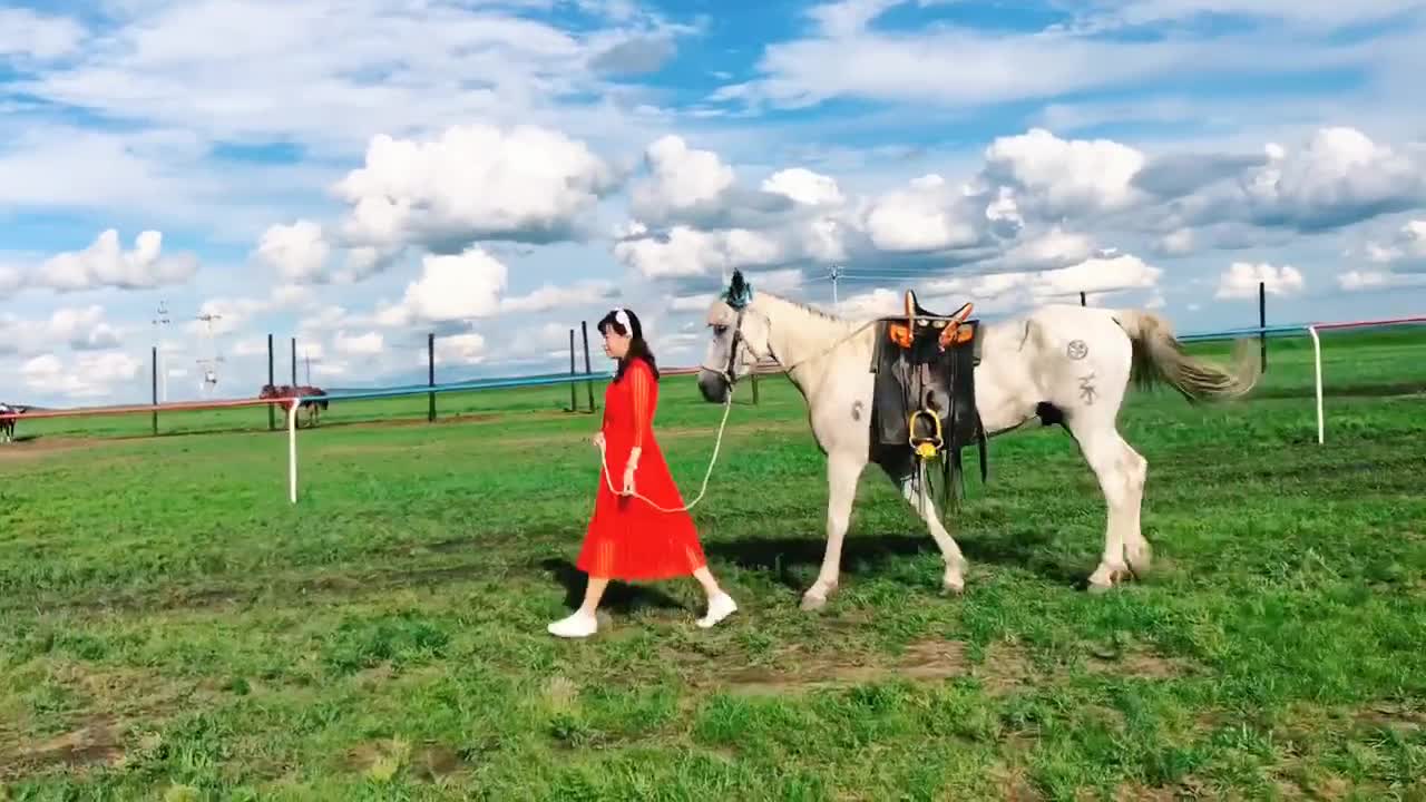 A lady in red dress walking with a horse