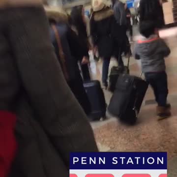 Dog piggyback rides in red backpack on owners back, subway station