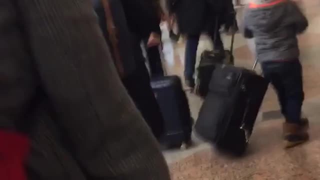 Dog piggyback rides in red backpack on owners back, subway station