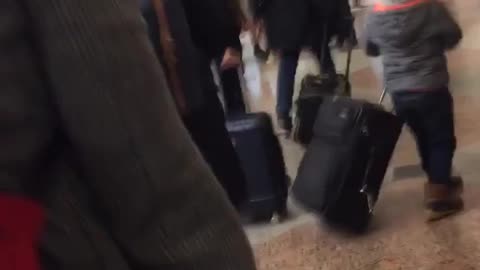 Dog piggyback rides in red backpack on owners back, subway station 
