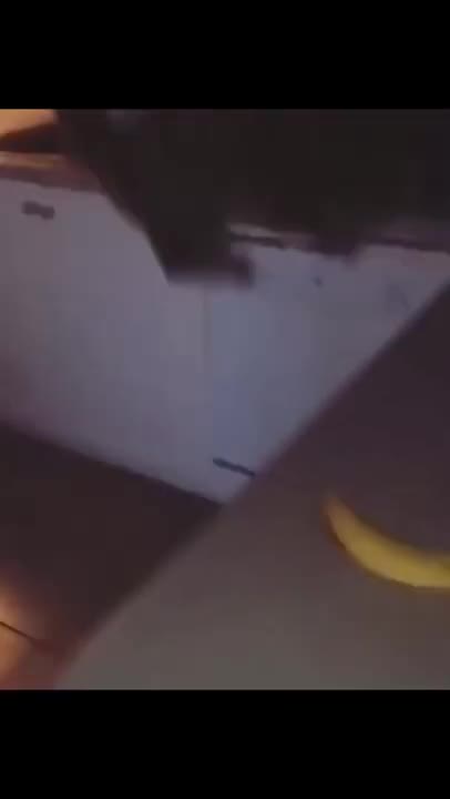 9.Daily Funny Wee 😂 5 #shorts