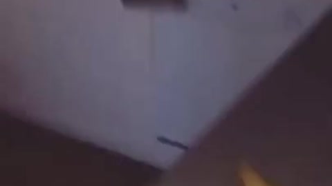 9.Daily Funny Wee 😂 5 #shorts