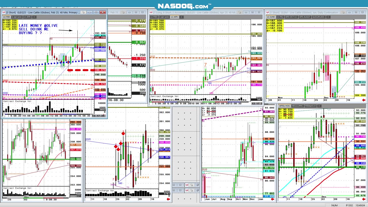 Cattle Key Reversal, silent but deadly Olive Algo Sell trigger line