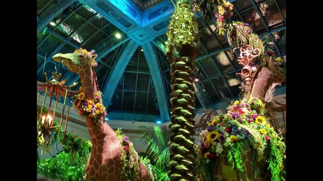 Jungle of Dreams – The New Bellagio Conservatory Display for 2022