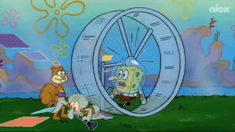 Squidward Is Playing With Tiles While SpongeBob Is Running On A Hamster Wheel 🐹