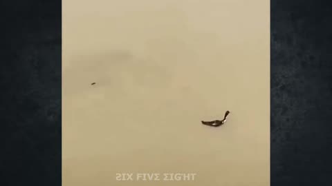 Shot on iPhone Meme #3