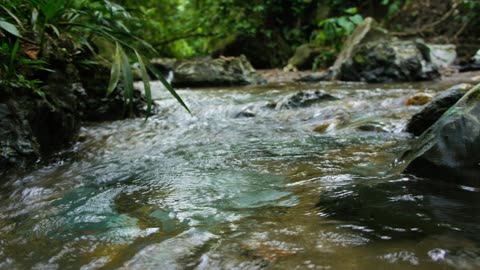 Peaceful and Mesmerizing River Ambience (NATURE AMBIENCE)