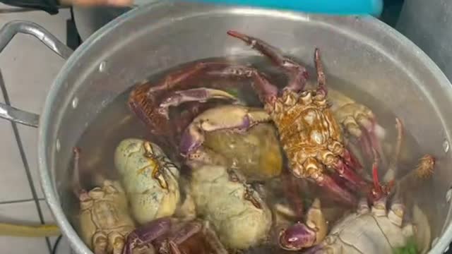 tropical mangrove crab recipe