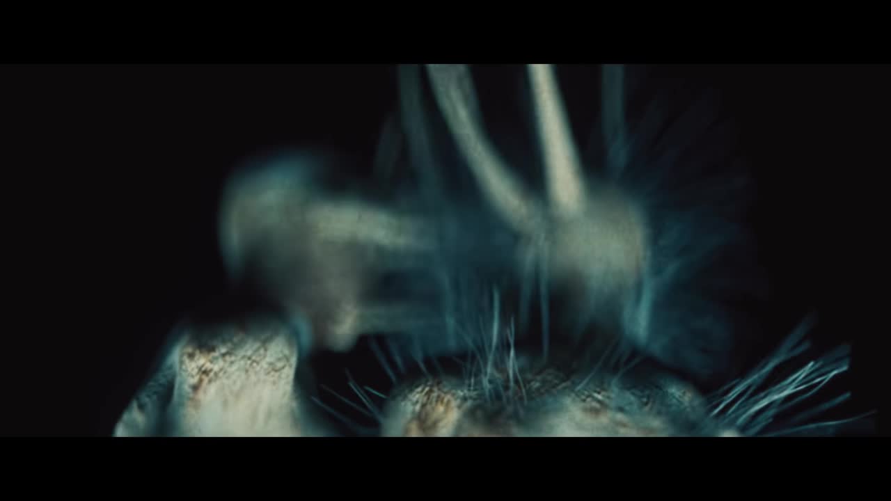 Korn - Start The Healing (Official Music Video)