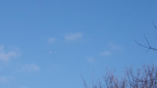 UFO ??? WTF IS THIS ???