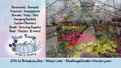 Blue Rouge Garden & Nursery