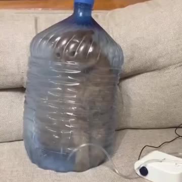 Treating your cats asthma condition 😊