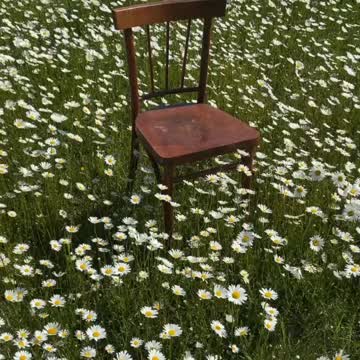 Seat At Table To Save