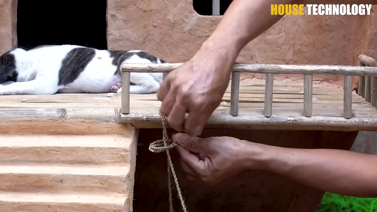 Dog rescue and build Loving Dog House - Build House for Puppies