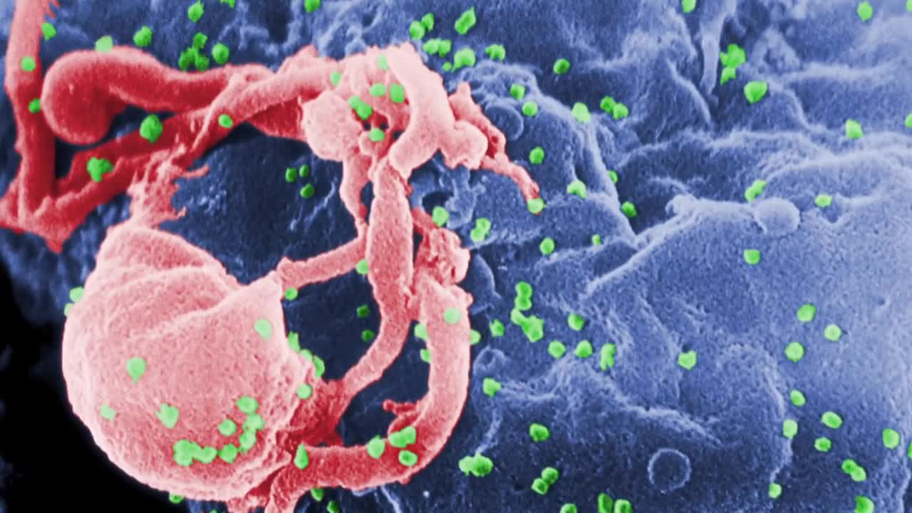 HIV drugs reduce transmission rate to 'zero'