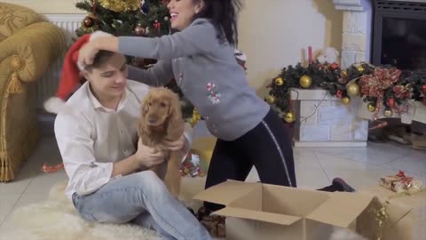 Is Your Dog Happy Or Sad? Top 10 Signs Your Dog Is Happy With You!!
