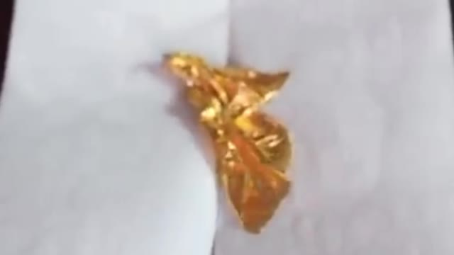 Gold leaf eater