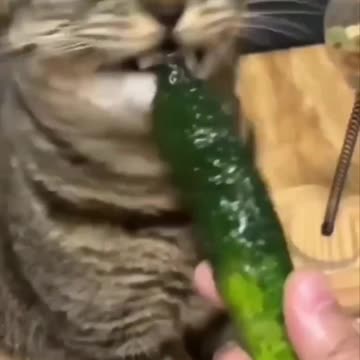 Eating malfunction 🤣🤣