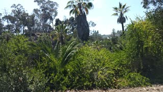 Ending the day in Presidio Park..