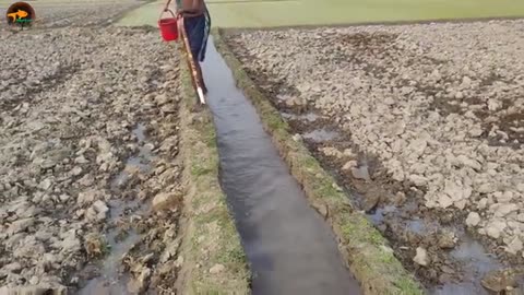 Top Fishing Video 2023 🖤 Experts Fisherman Big Fish Catching In Water Drain 🖤 Best Fishing Video