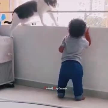 Lovely Cat Responsibility # 10