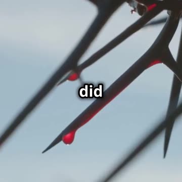 What if God became a man?