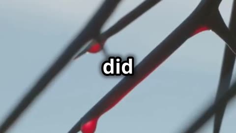 What if God became a man?