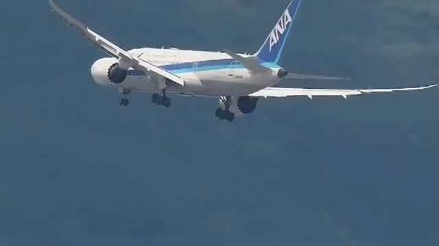 Fly Fly till you Suceed