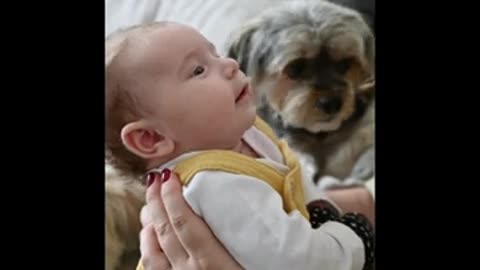 cute baby _ baby videos _ funny kids _ funny baby _ #short _