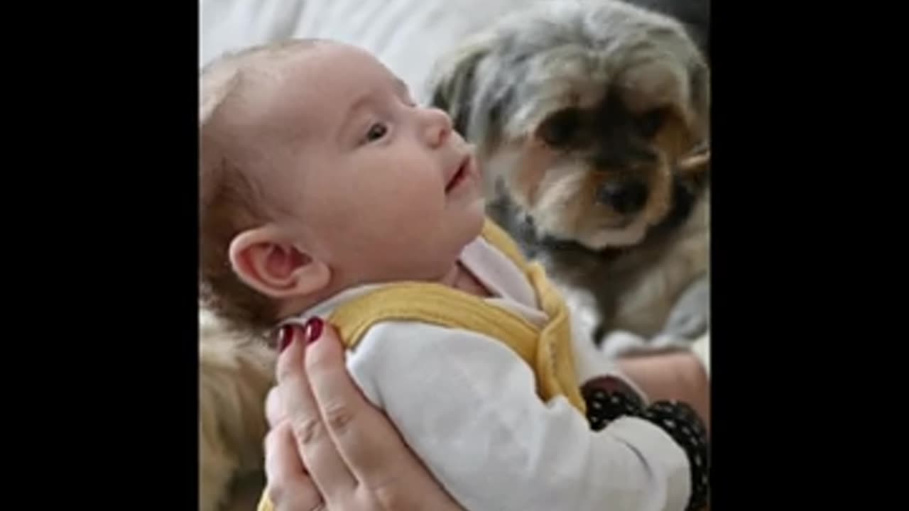 cute baby _ baby videos _ funny kids _ funny baby _ #short _