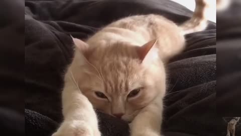 Give me a massage