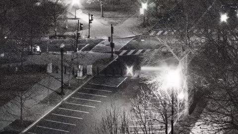 1059RSOBRFNorthwestRoof_2021-01-06_20h52min00s510ms.mp4