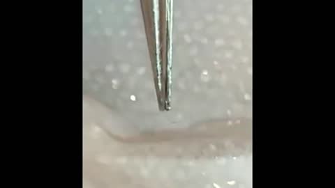 BAGNA LA MASCHERINA E QUELLO CHE VEDE ALL'INTERNO.........