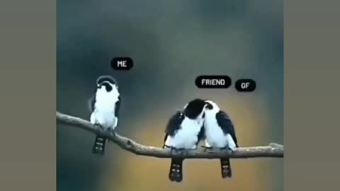 True love never died 👨‍❤️‍💋‍👨👨‍❤️‍💋‍👨👨‍❤️‍💋‍👨👨‍❤️‍💋‍👨👨‍❤️‍💋‍👨