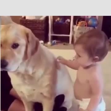 how ani love each other